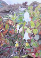 薮の花 | 2024 | 333×242mm (F4) | oil on canvas