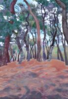 赤松の木々 | 2024 | 227×158mm (SM) | oil on canvas