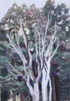 冬の木 | 2025 | 227×158mm (SM) | oil on canvas
