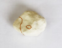 大沢の石9 a stone picked up in Osawa | 2021 | 60×70×43mm | washi acrylic