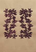 エビネループ | 2025 | 365×257mm | 木版、紙、アクリル | エディション9(色違い)