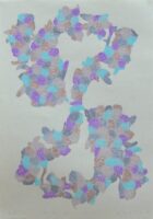 キクループ | 2025 | 420×297mm | 木版、紙、クレヨン | エディション5(色違い)