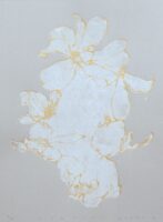 コブシループ1 | 2025 | 401×297mm | ゴム版、木版、紙、アクリル | エディション2