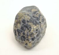 青梅の石 | 2022 | 125×75×60mm | 和紙、胡粉、アクリル