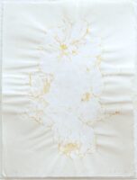 コブシループ2 | 2025 | 427×313mm | ゴム版、木版、紙、アクリル | エディション2