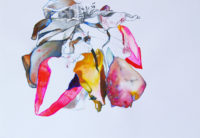 腐敗前 befor decaying | 2007 | 182×261mm | watercolor, color pencil, oil pastel on paper