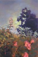 ツキヨ(夏) | 2026 | 180×120mm (P0) | oil on panel