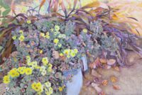 あわい | 2026 | 606×910mm (M30) | oil on canvas