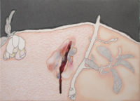 傷口 wound | 2014 | 241×332mm | pencil, watercolor on paper