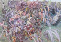 枯れ合う | 2026 | 1120×1620mm (P100) | oil on canvas