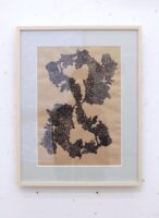 キクループ(額装)