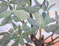 318 × 410 mm oil on canvas 2025